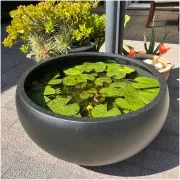 Bianca Hibachi Bowl gallery detail image