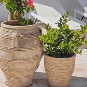 Riversland - 3 Handle Urn gallery detail image