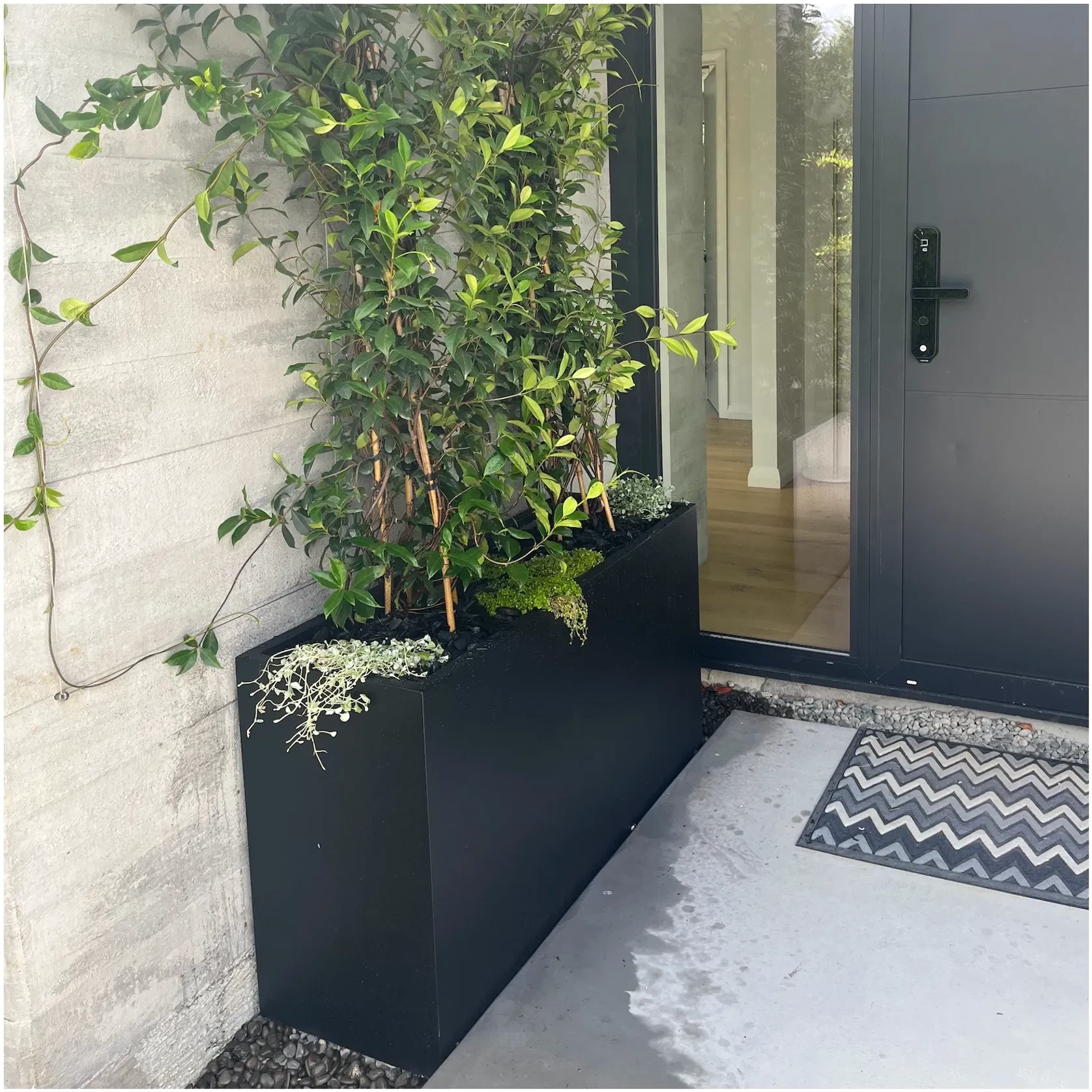 Bianca Tall Trough gallery detail image