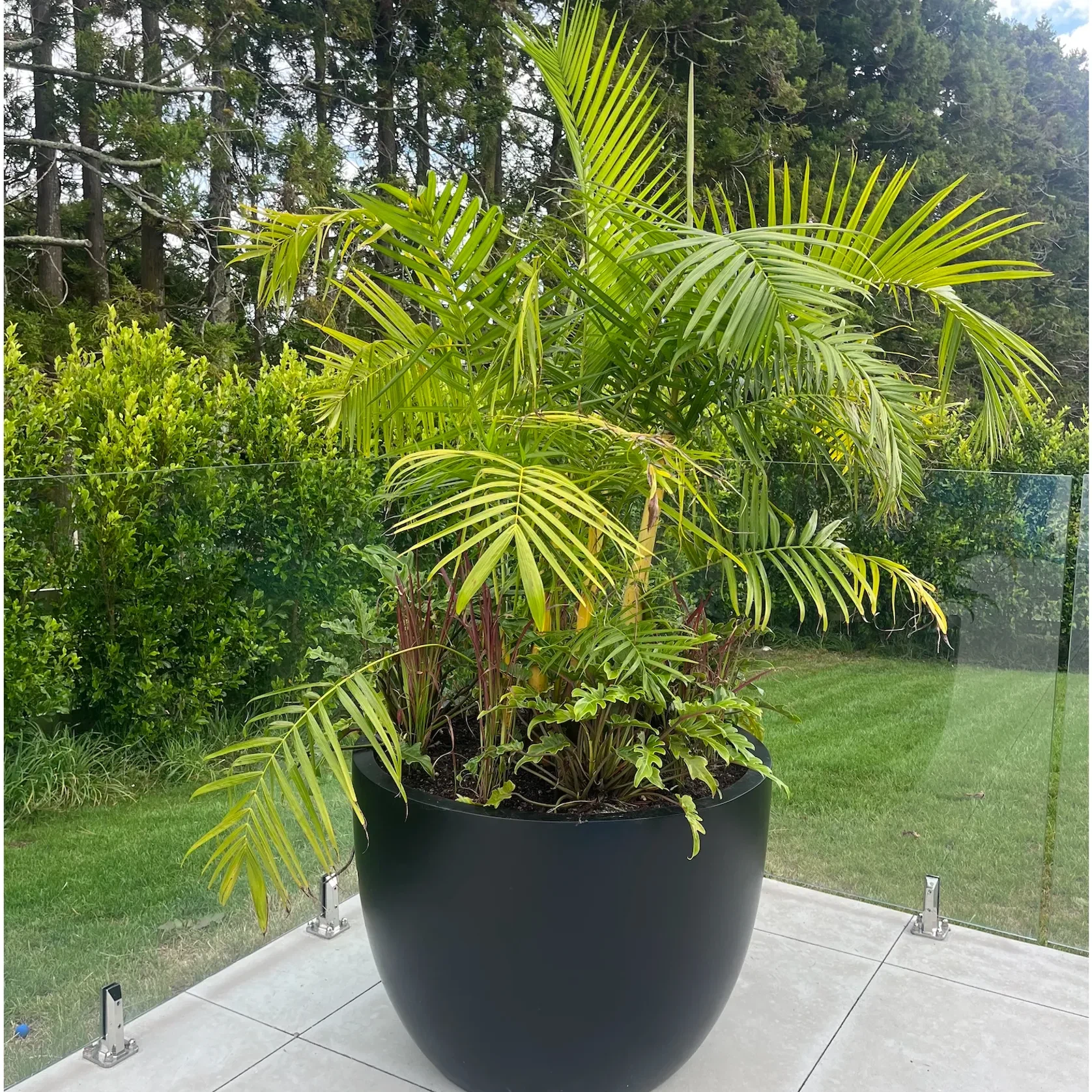 Bianca Egg Pot gallery detail image