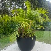 Bianca Egg Pot gallery detail image