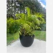 Bianca Egg Pot gallery detail image