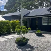 Bianca Bowl gallery detail image