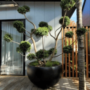 Bianca Spa Planter gallery detail image