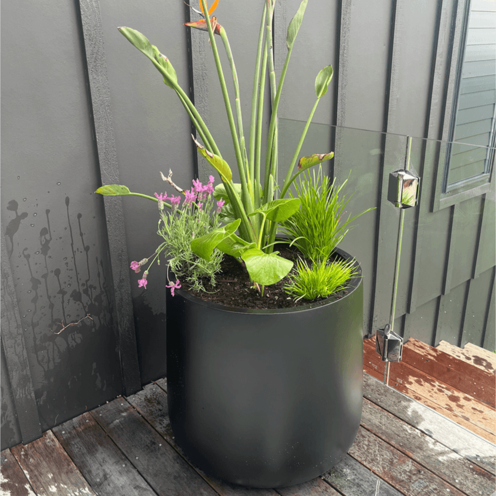 Bianca Cylinder Pot gallery detail image