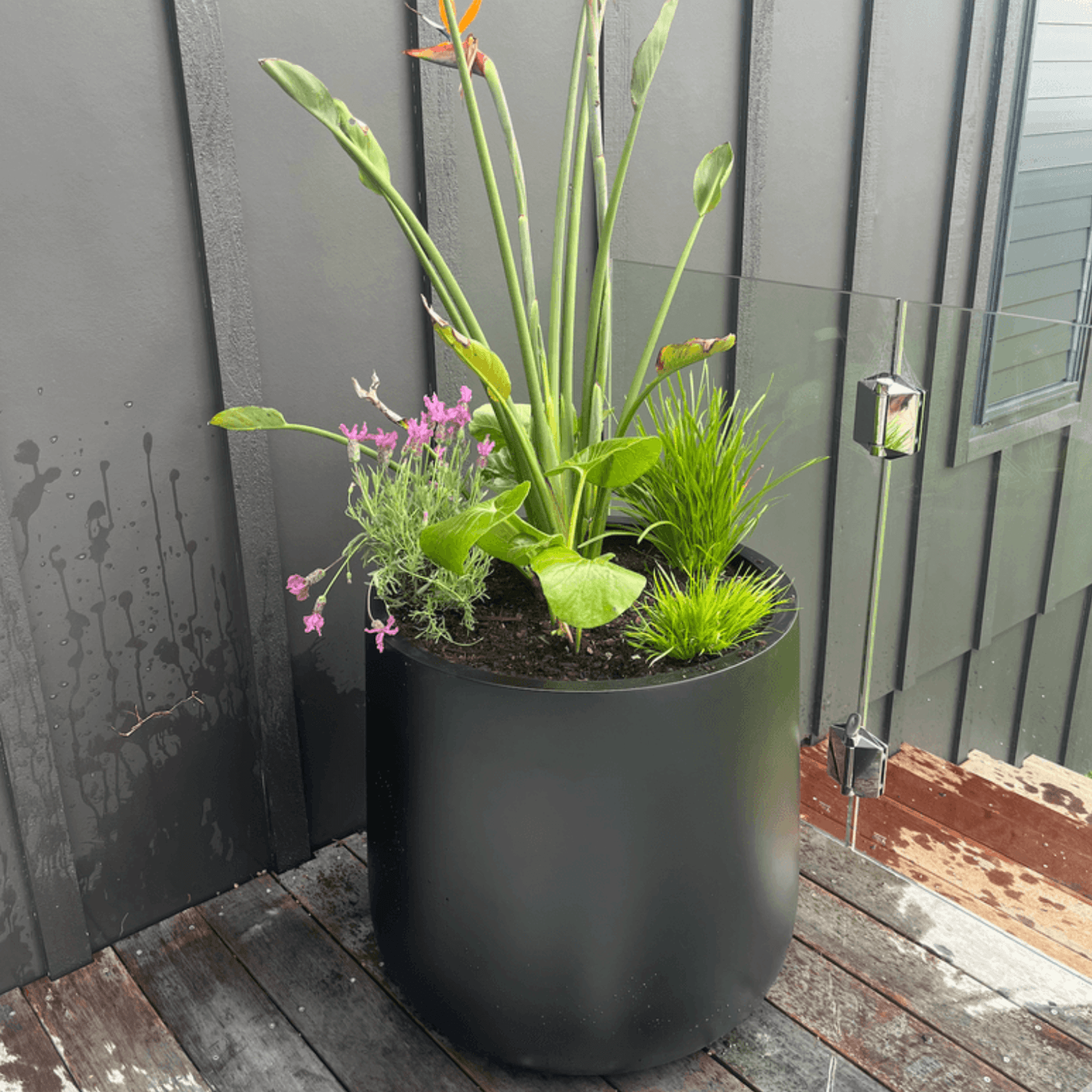 Bianca Cylinder Pot gallery detail image