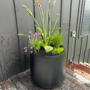 Bianca Cylinder Pot gallery detail image