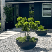 Bianca Bowl gallery detail image