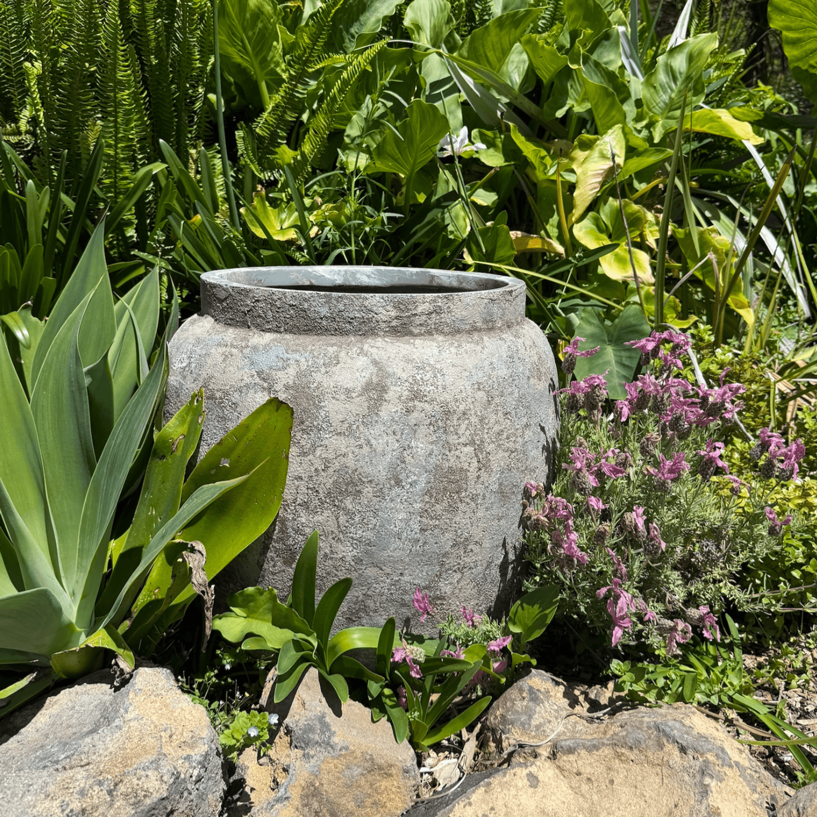 Classic Planter – Medium gallery detail image