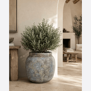 Classic Planter gallery detail image