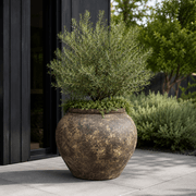 Poise Planter gallery detail image
