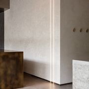Coppin gallery detail image