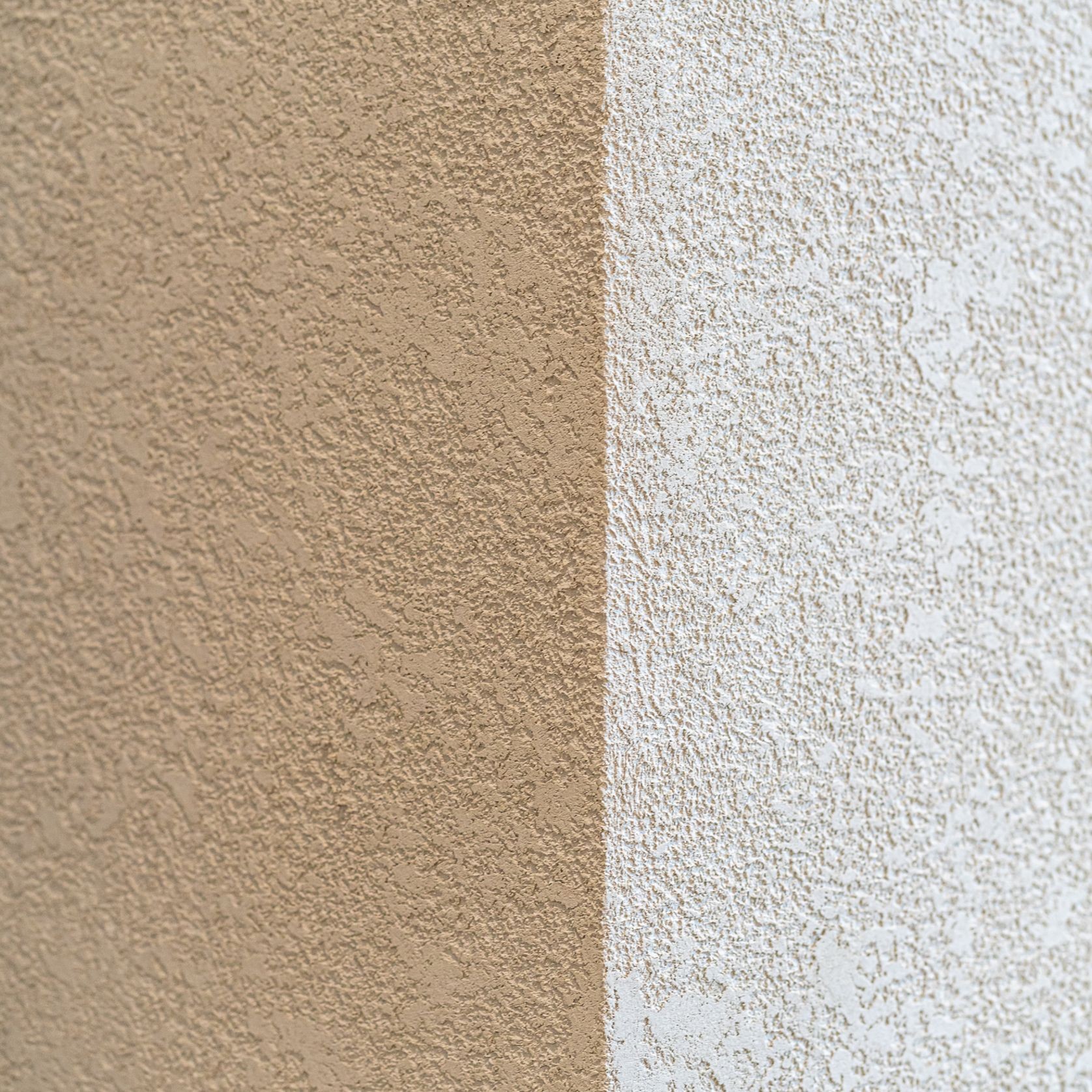 Coppin gallery detail image
