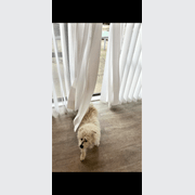 Aspect Living Veri Shades® - Alpine 410mm gallery detail image