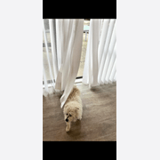 Aspect Living Veri Shades® - Alpine 410mm gallery detail image