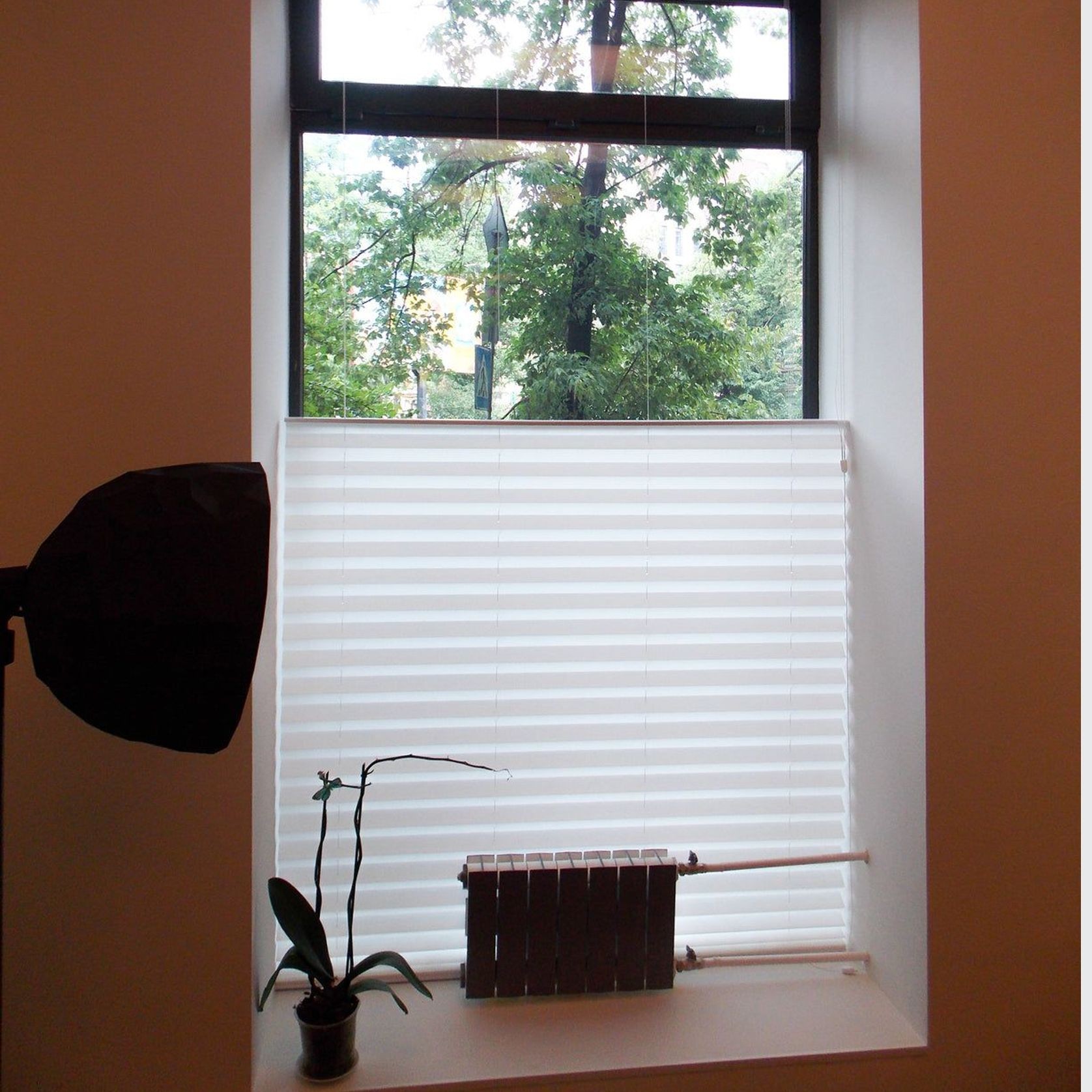 Ultimate Colby Blinds gallery detail image