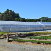 SUNLITE® Twinwall Polycarbonate gallery detail image