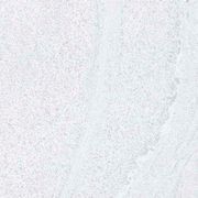 CMP Porcelain White Sands Tile gallery detail image