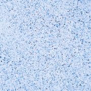 Ultra Quartz™ Pool Plaster gallery detail image