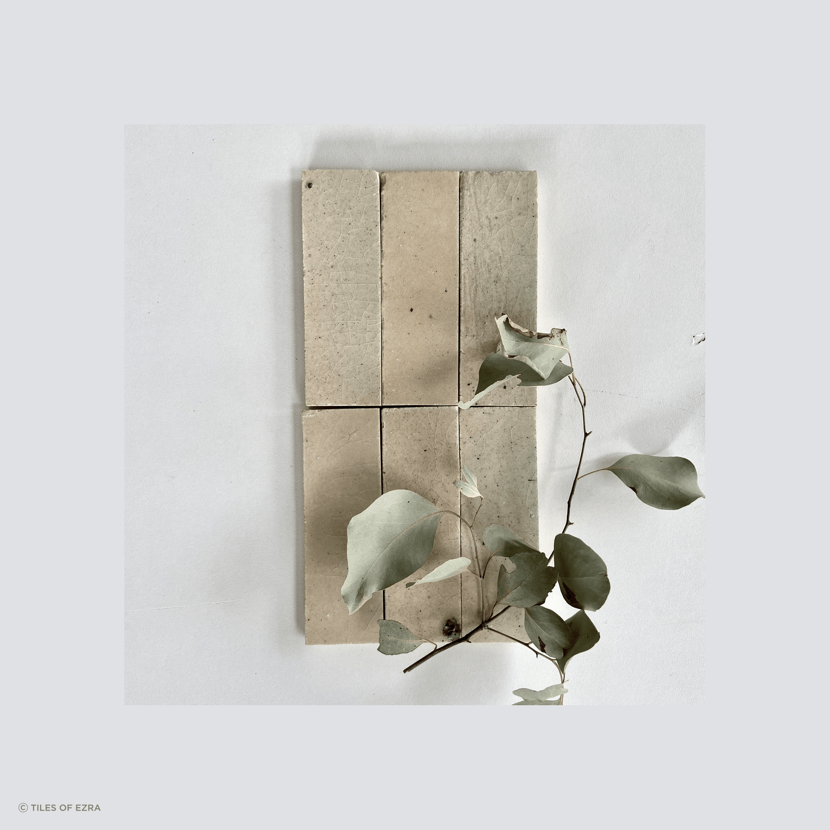 Tiles of Ezra TIERRA ArchiPro NZ