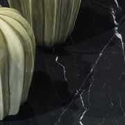 Nero Marquinia | Marble Look gallery detail image