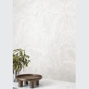 TDM Revolution | Floor and Wall Tiles gallery detail image