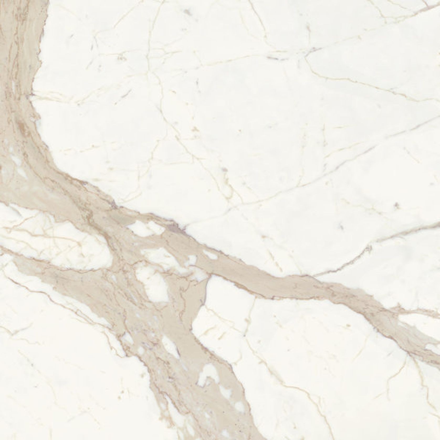 Bianco Calacatta | Marble Look gallery detail image