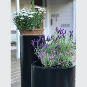 Black Cylinder 350 Planter gallery detail image