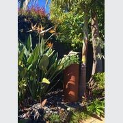 Corten Tapered Cylinder Planter gallery detail image