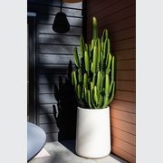 Hibernate 87 Degrees U Jar - Salt gallery detail image