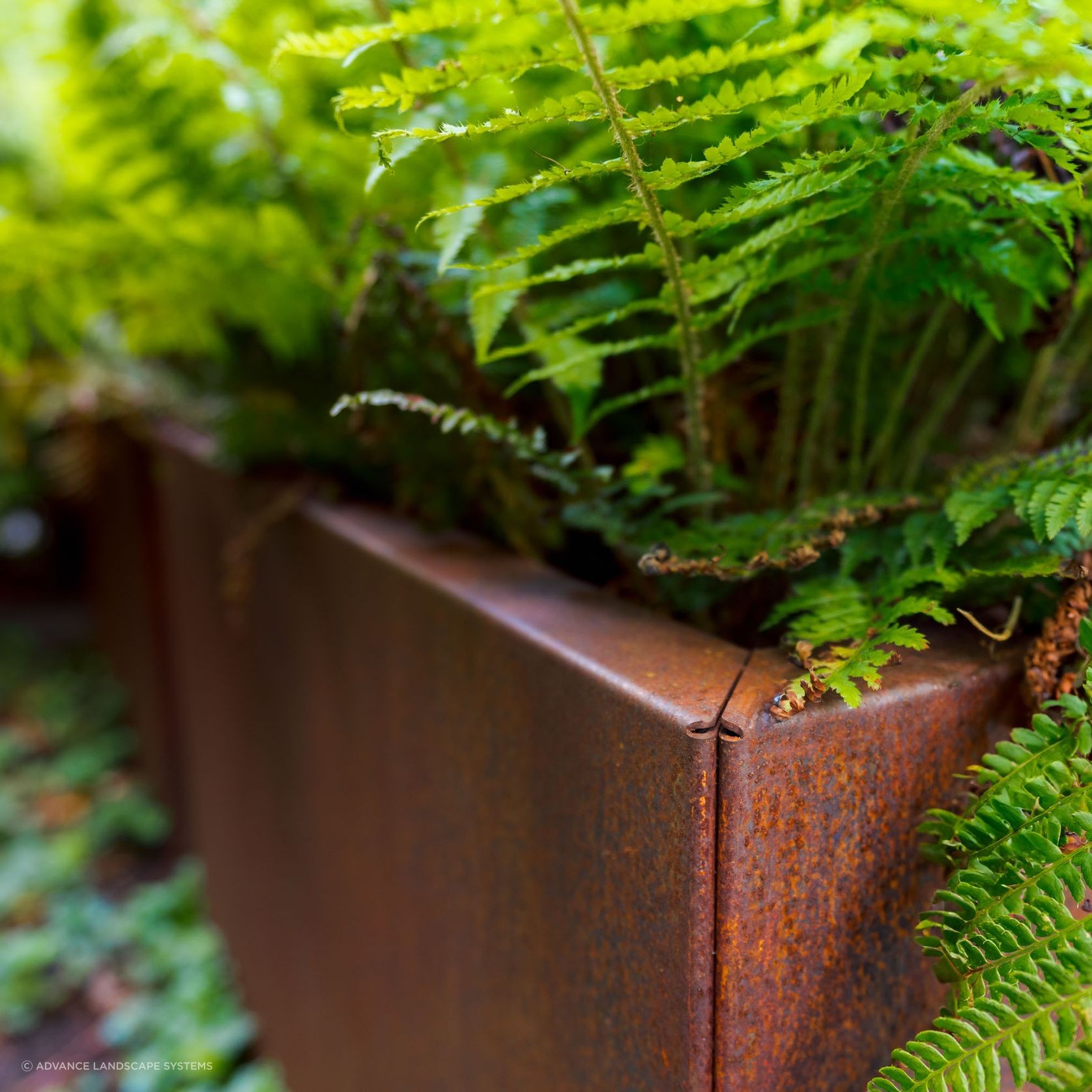 Carrez Connect (Square) gallery detail image