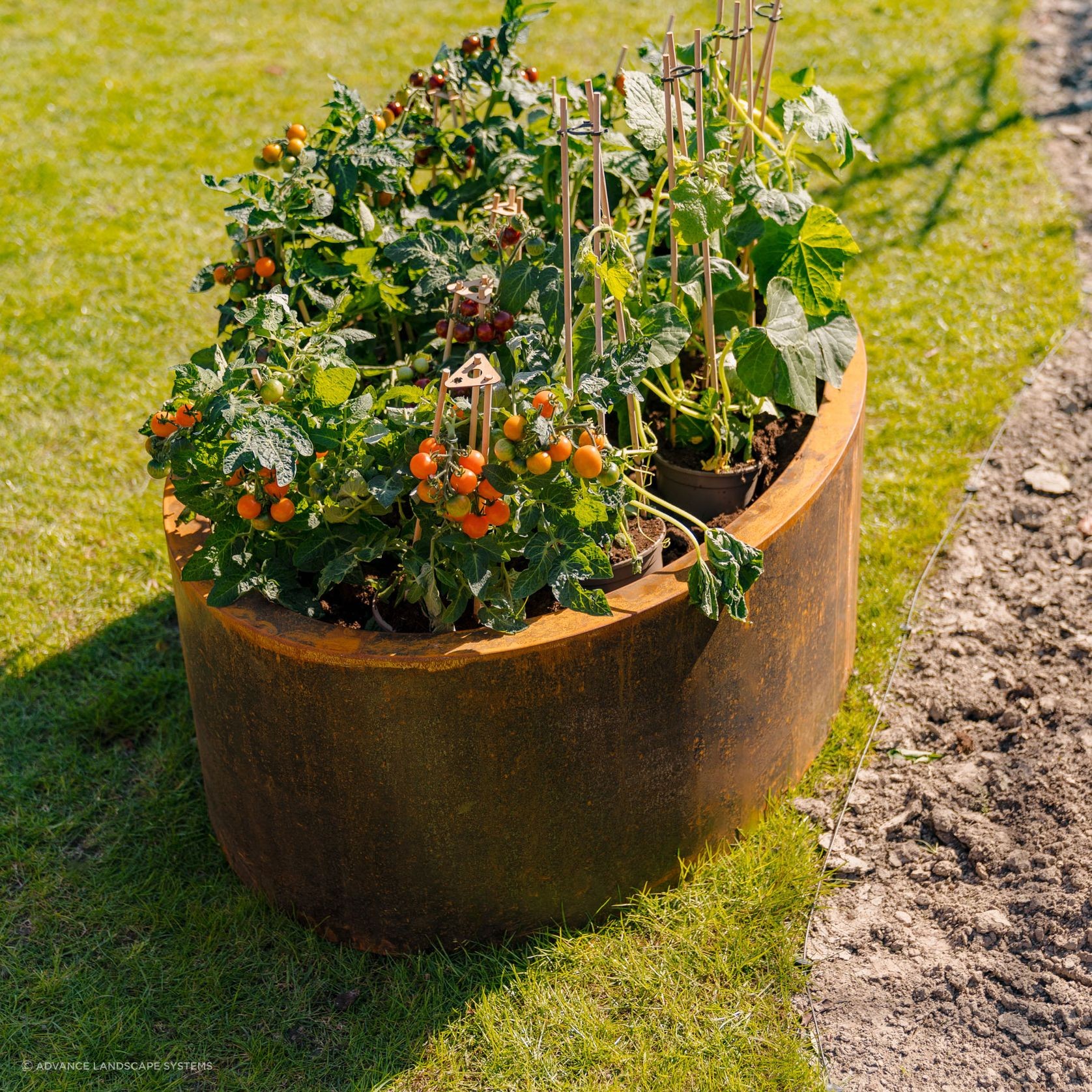 Ellipse Planter gallery detail image