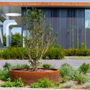 Circum Planter (without base) gallery detail image