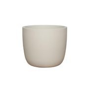 Alesund U Cup gallery detail image