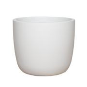 Alesund U Cup gallery detail image