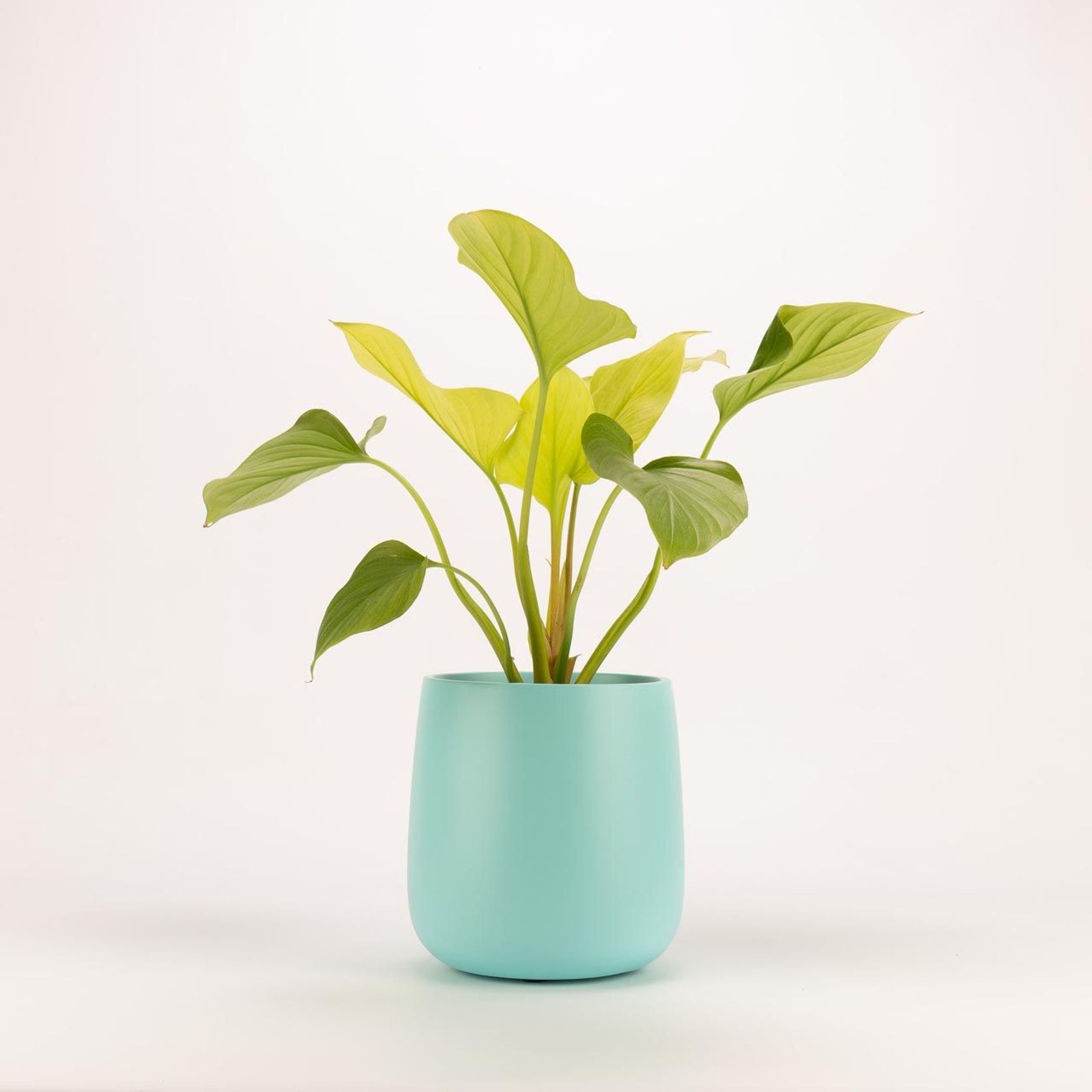 Ashgrove Duffel gallery detail image