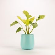 Ashgrove Duffel gallery detail image