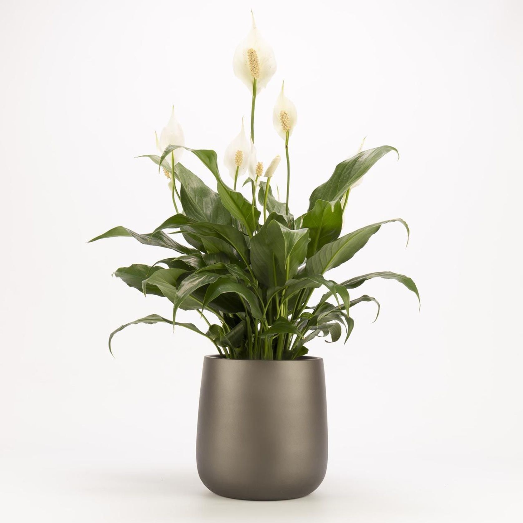 Ashgrove Duffel gallery detail image