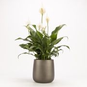 Ashgrove Duffel gallery detail image