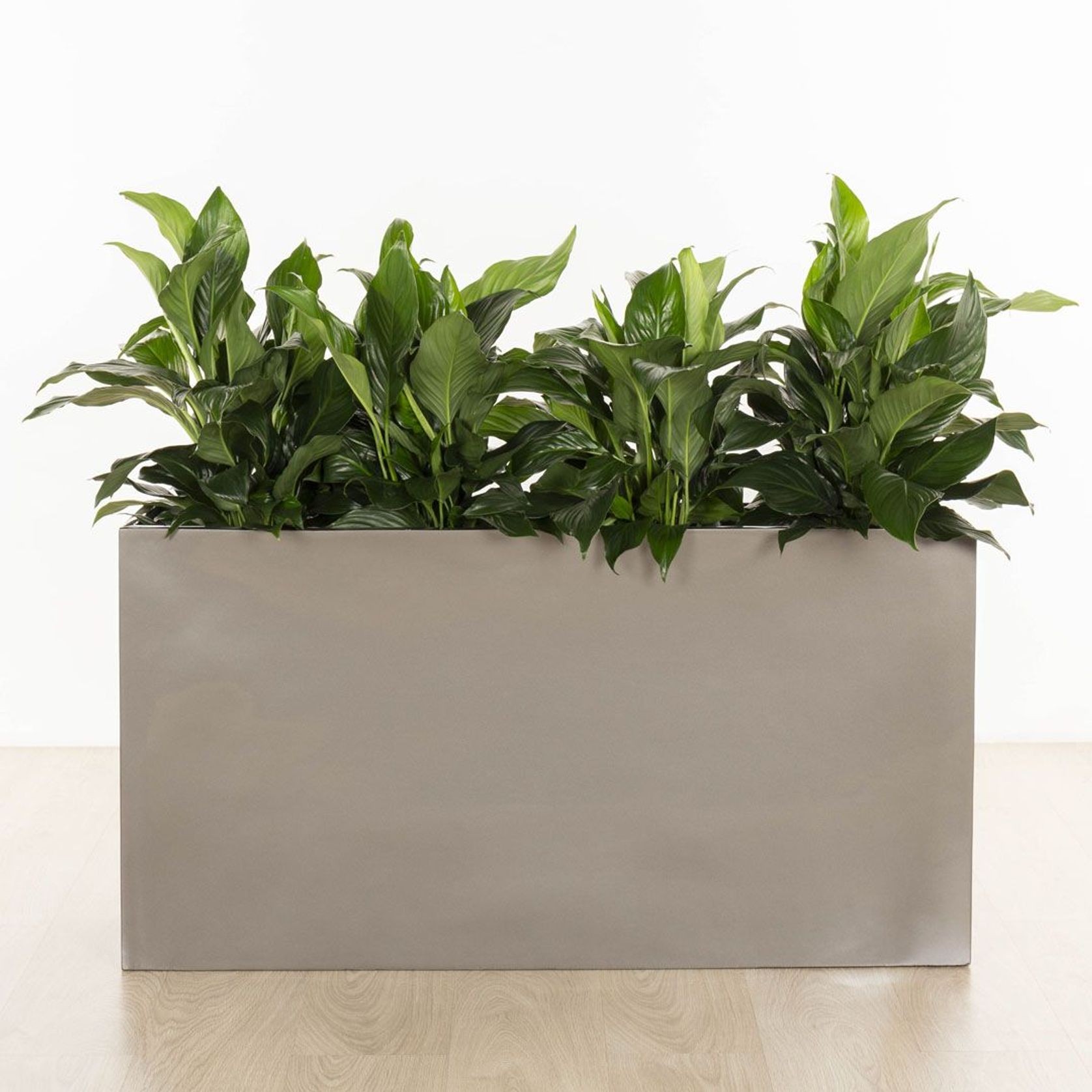 Auchenflower Trough gallery detail image