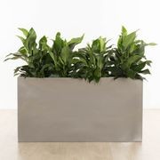 Auchenflower Trough gallery detail image