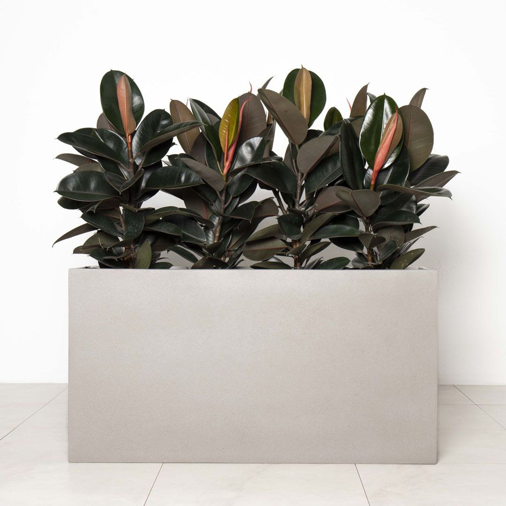 Auchenflower Trough gallery detail image