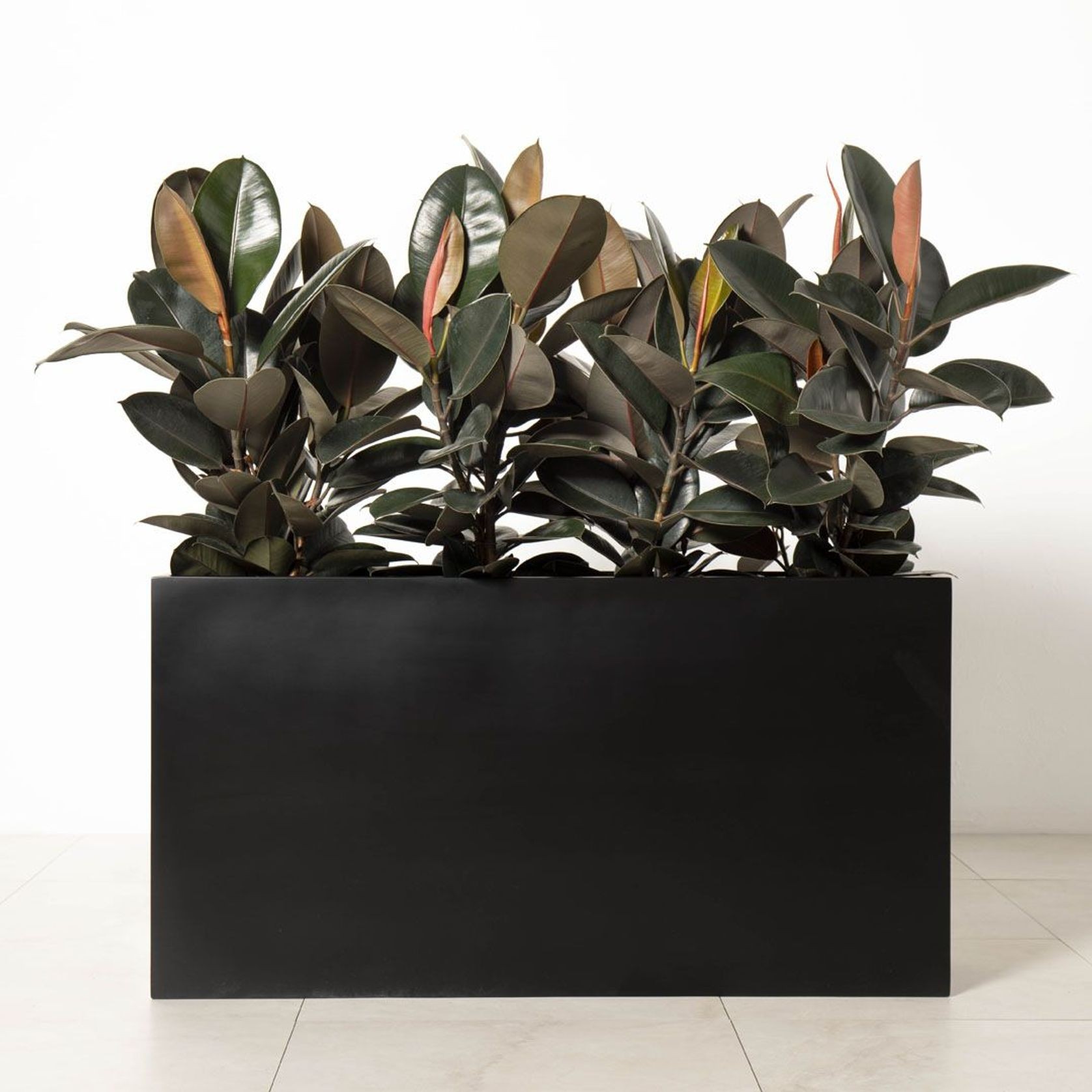 Auchenflower Trough gallery detail image