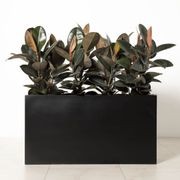 Auchenflower Trough gallery detail image