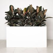 Auchenflower Trough gallery detail image