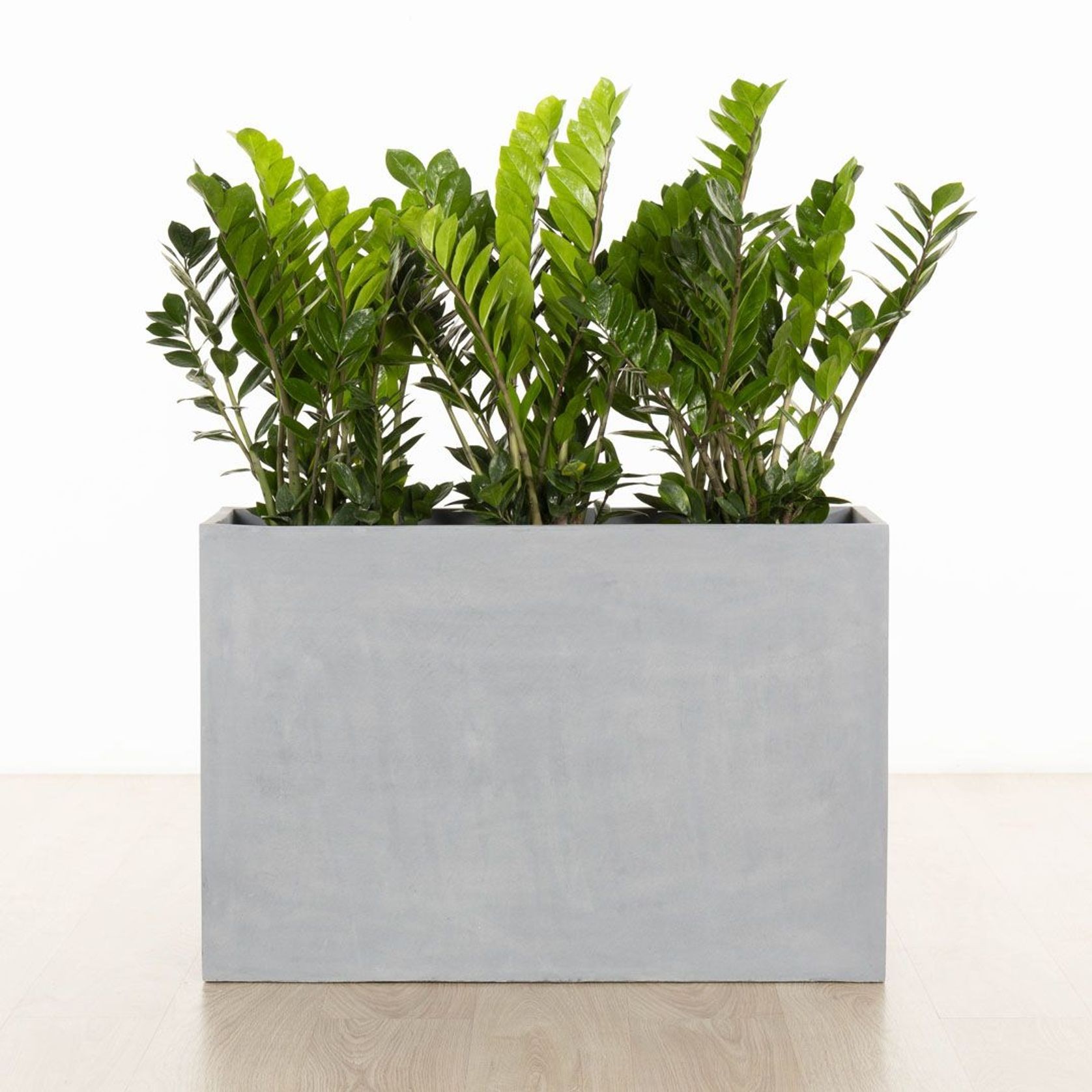 Auchenflower Trough gallery detail image