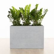 Auchenflower Trough gallery detail image