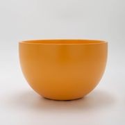 Chelmer Bowl gallery detail image