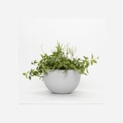 Chelmer Bowl gallery detail image