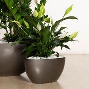 Chelmer Bowl gallery detail image